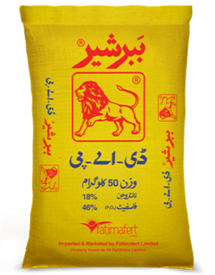 BABBER SHER DAP 50KG