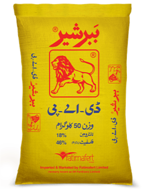 BABBER SHER DAP 50KG