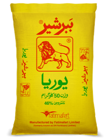 BABBER SHER DAP 50KG