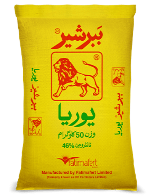 BABBER SHER DAP 50KG