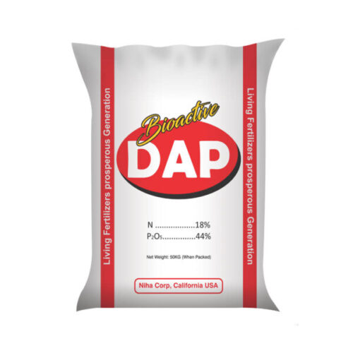 Niha_Bioactive_DAP