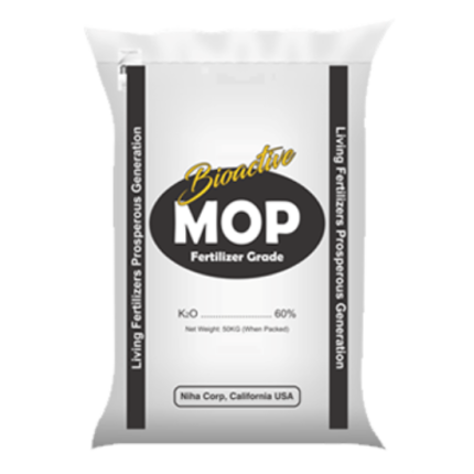 bioactive mop
