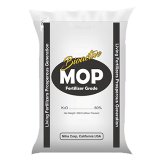 bioactive mop